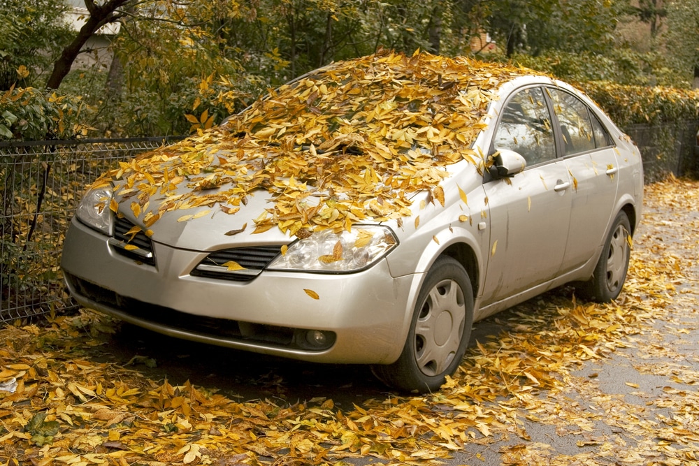 covered car with golden leaves, autumn urban landscape