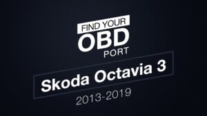 Obd Port Skoda Octavia