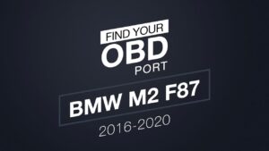 OBD port in BMW M2 F87