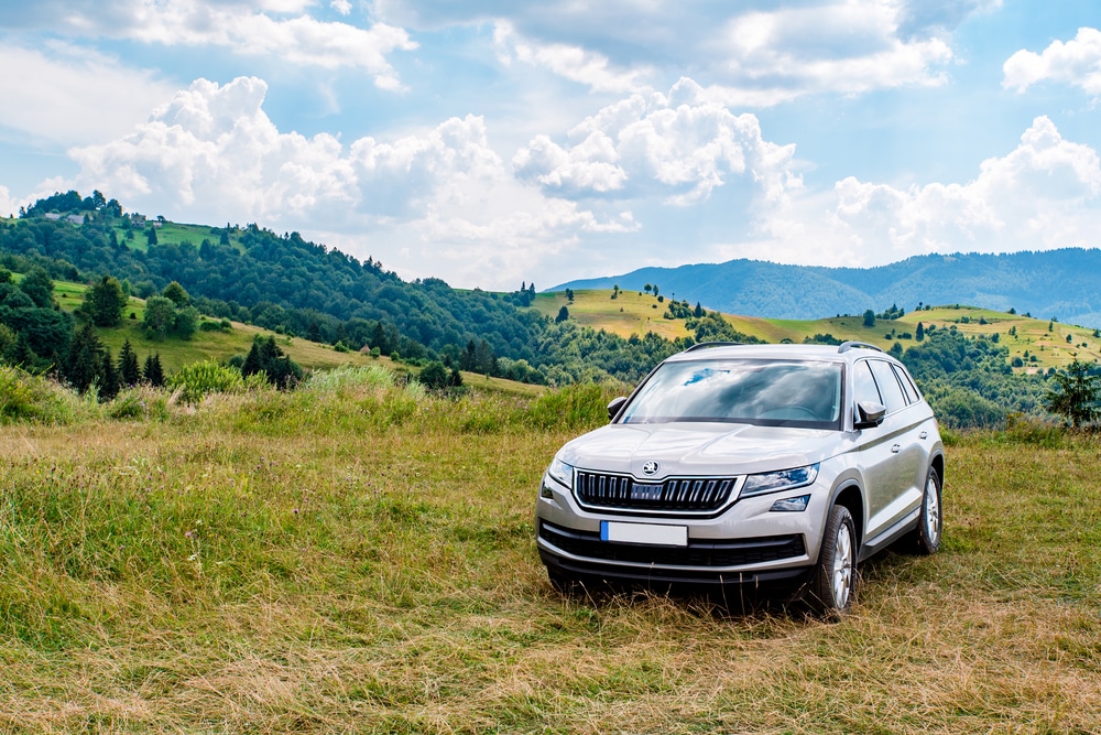 auswerten fehlerspeicher skoda kodiaq